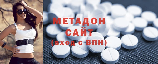 прущие грибы Гусев