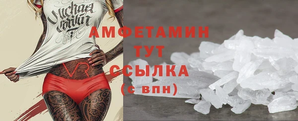 прущие грибы Гусев