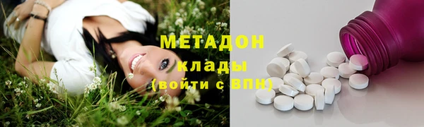 прущие грибы Гусев
