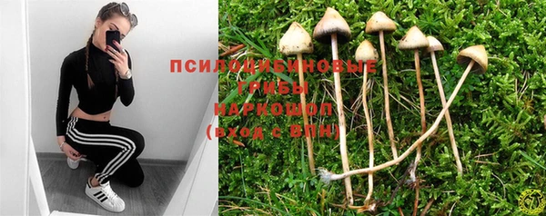 mix Гусь-Хрустальный