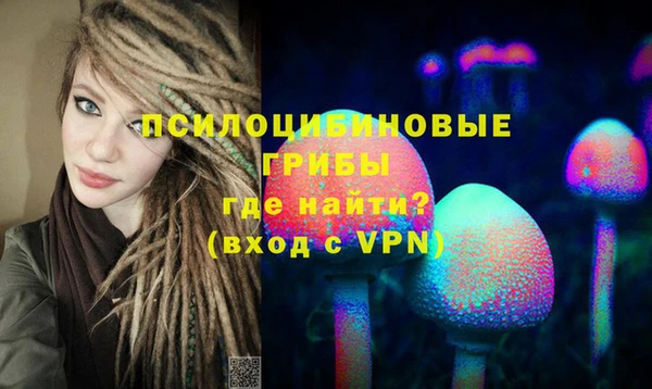 прущие грибы Гусев