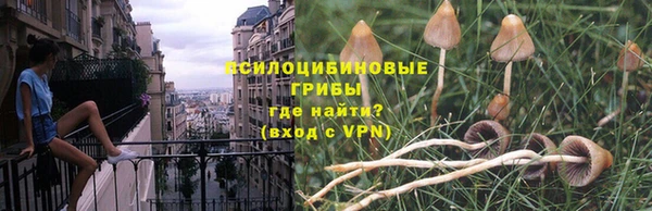 mix Гусь-Хрустальный