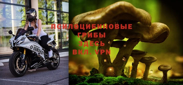 синтетический гашиш Гусиноозёрск