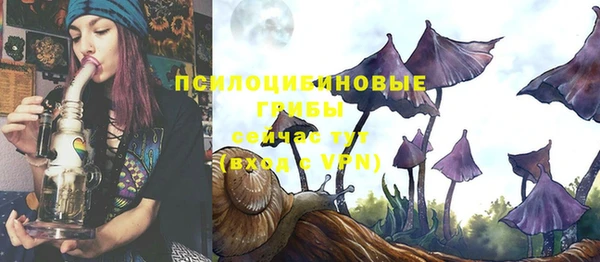 mix Гусь-Хрустальный