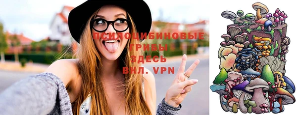 прущие грибы Гусев