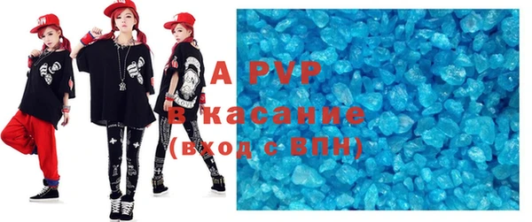 прущие грибы Гусев